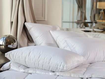 Подушка German Grass White Familie Down средняя 50х70